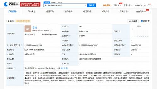 投资重庆成立智慧科技公司，注册资本2000万，聚焦计算机系统服务